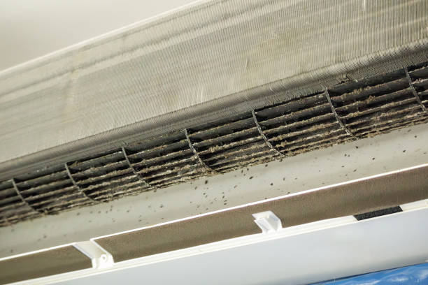 Best Local Air Duct Cleaning Services  in Royal Kunia, HI